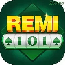 Remi101
